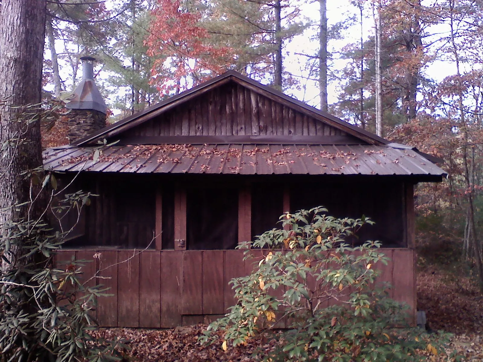 Metal roof over the screened porch of a rustic cabin in Florence